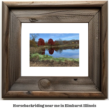 horseback riding near me in Elmhurst, Illinois